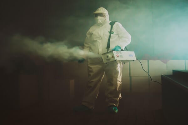 PEST CONTROL ST ALBANS, Hertfordshire. Pests Our Team Eliminate - Cleaning.